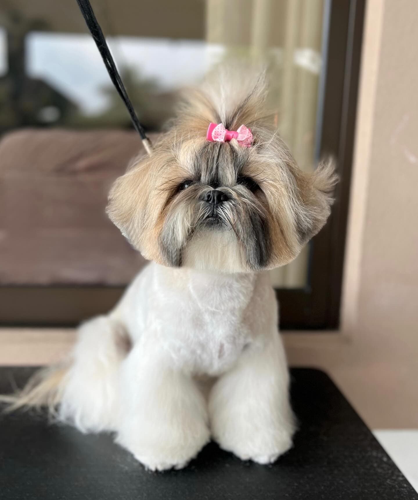 Grooming Especializado imagen 4