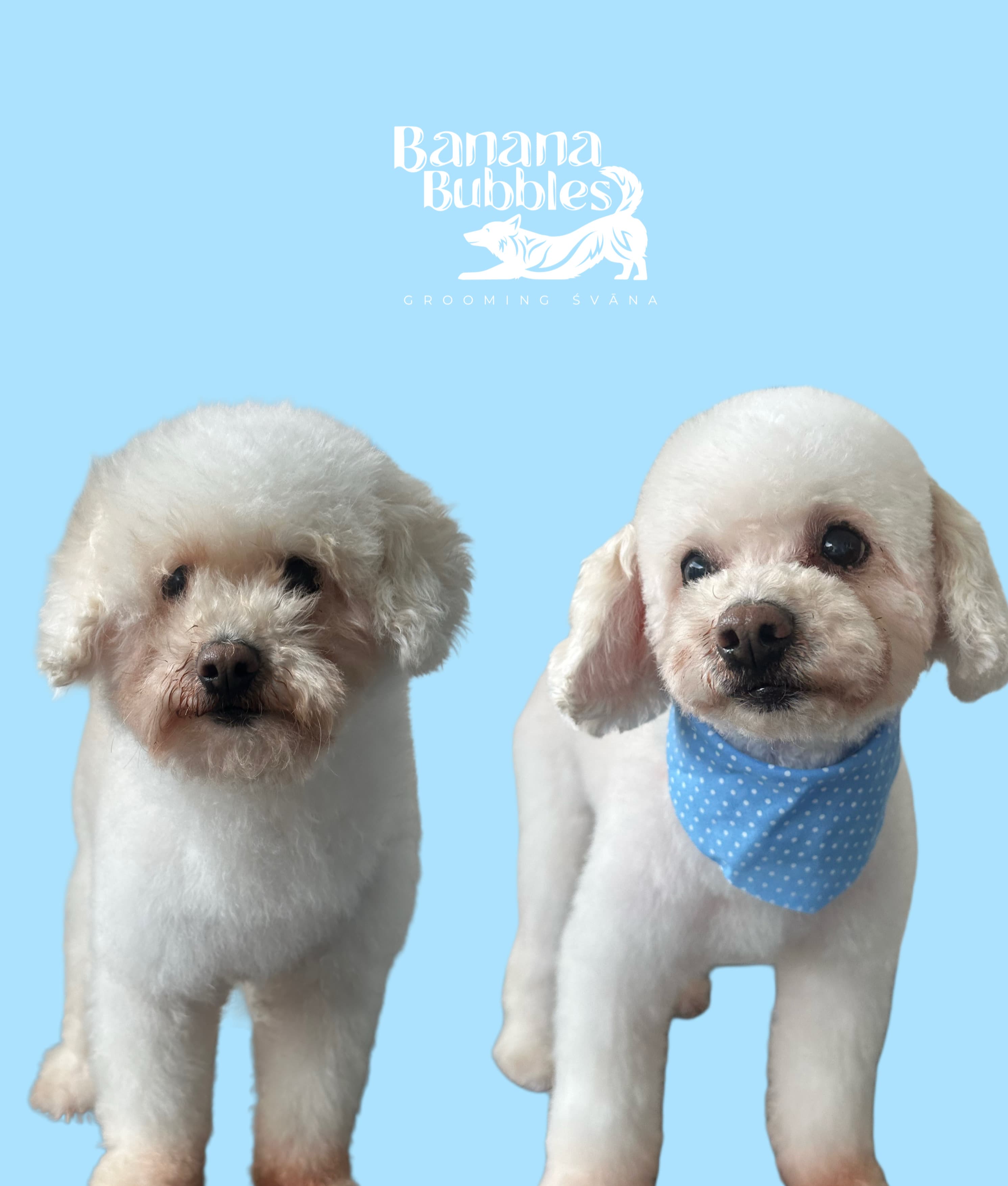 Grooming Clásico imagen 1