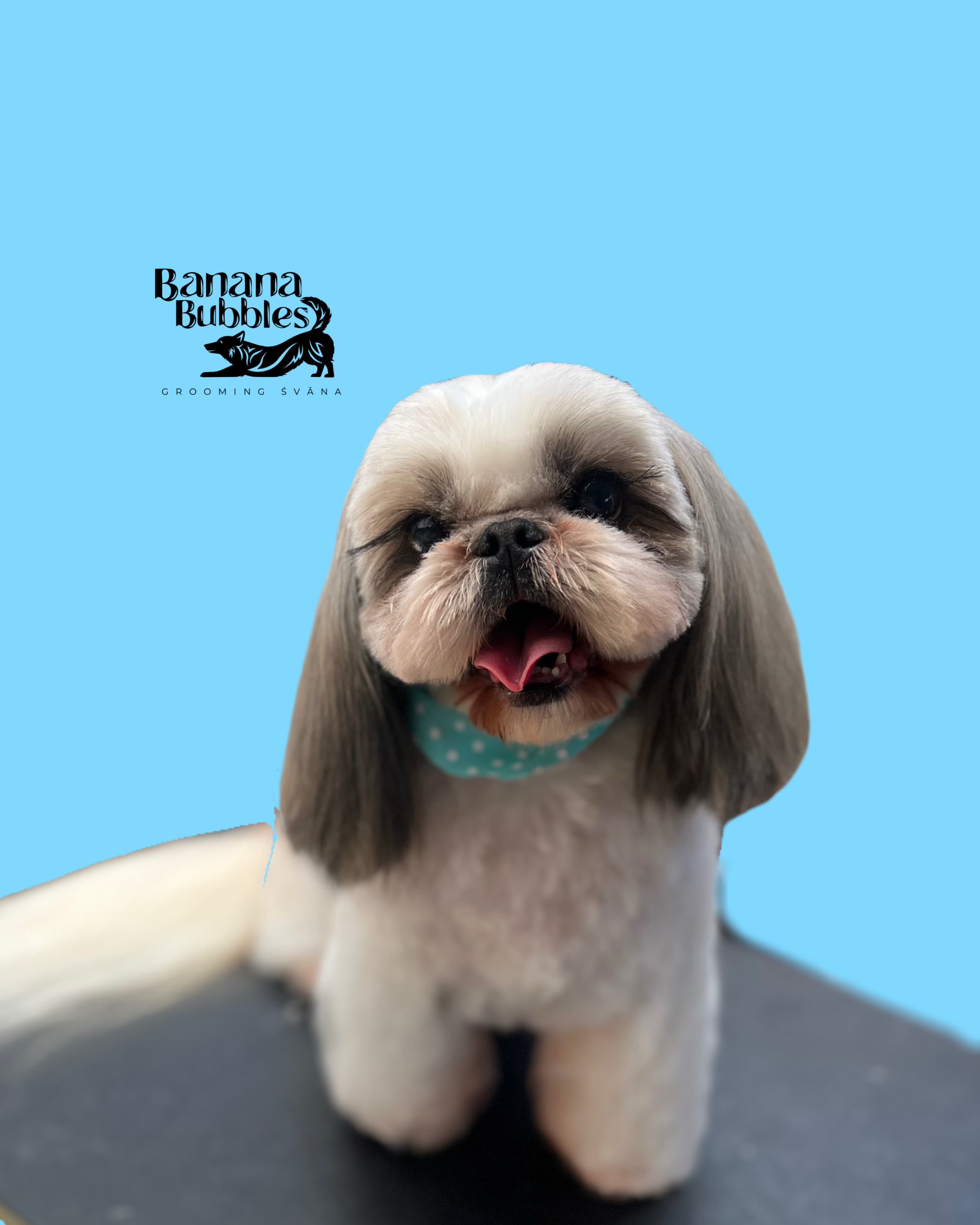 Grooming Especializado imagen 2